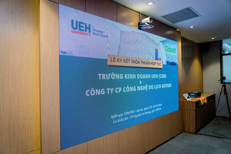 cá cược thể thao hul city